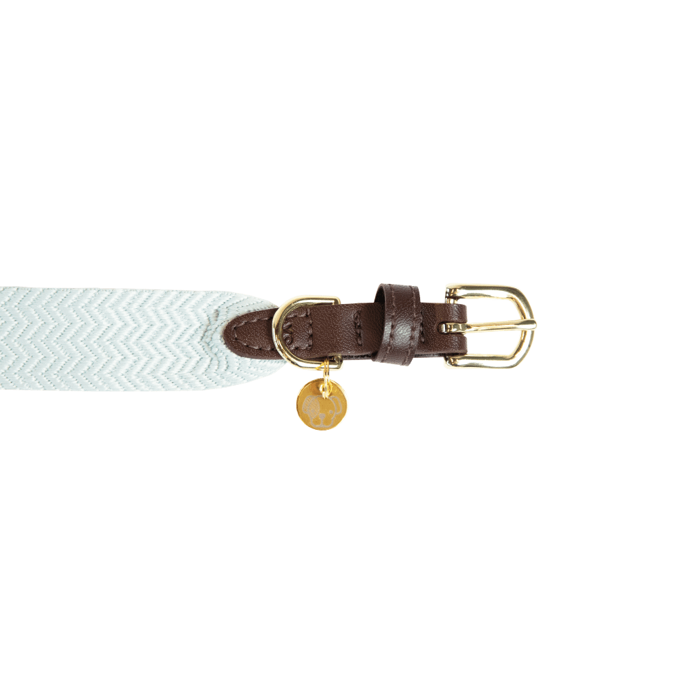 Dog Collar Jacquard | Kentucky Dogwear | Stylish — Image 9