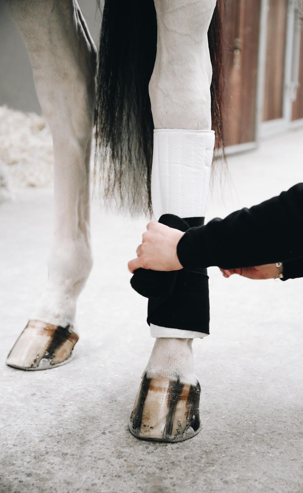 Working Bandages Pads Absorb | Kentucky Horsewear | absorbent — Image 2