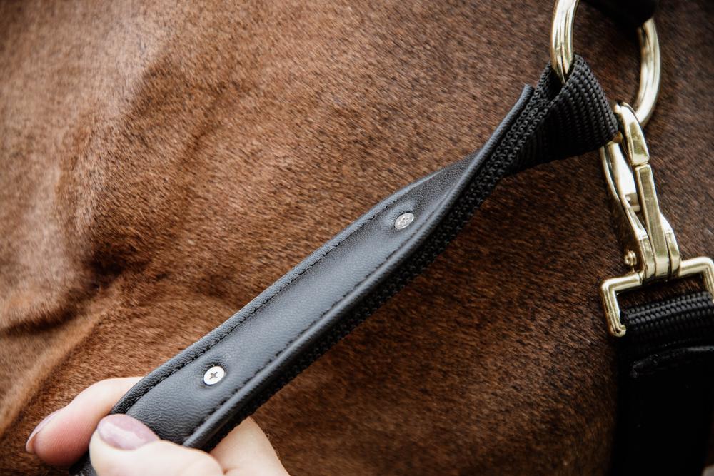 Nylon Anatomic Halter | Kentucky Horsewear | Durable — Image 7