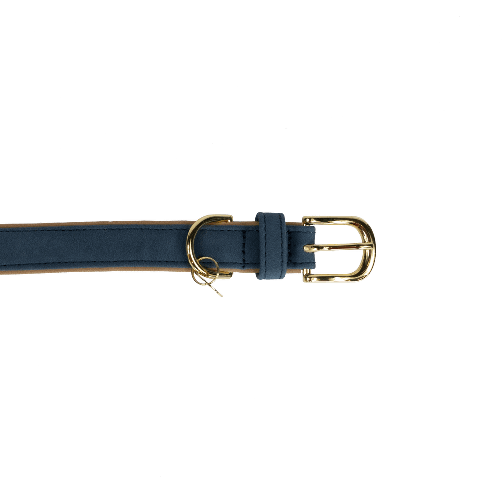 Dog Collar Soft Vegan Leather | Kentucky Dogwear | eco-friendly — Image 8