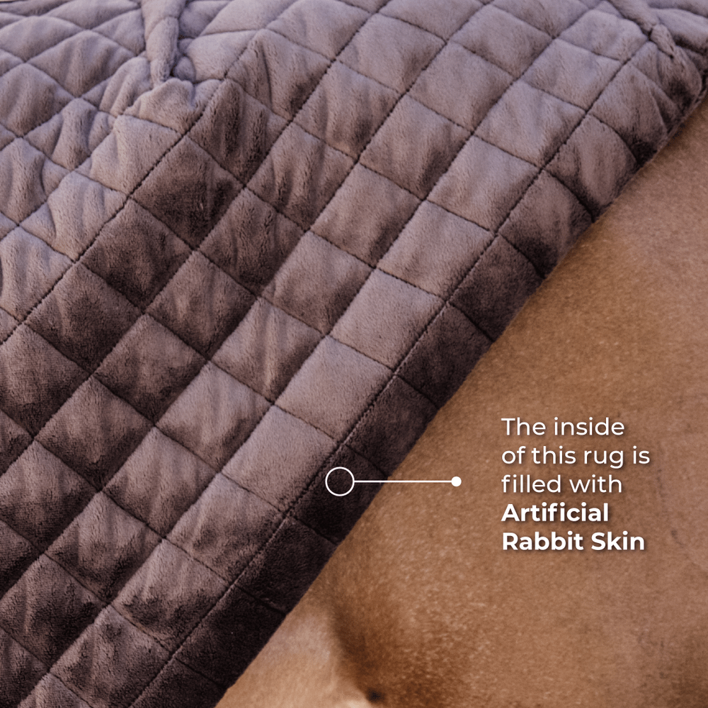 Show Rug | Kentucky Horsewear | Durable — Image 4