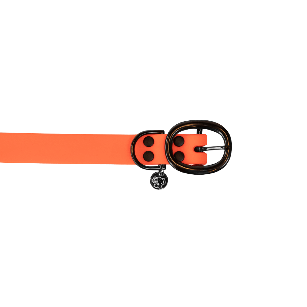 Dog Collar Soft Rubber | Kentucky Dogwear | Comfort — Image 7