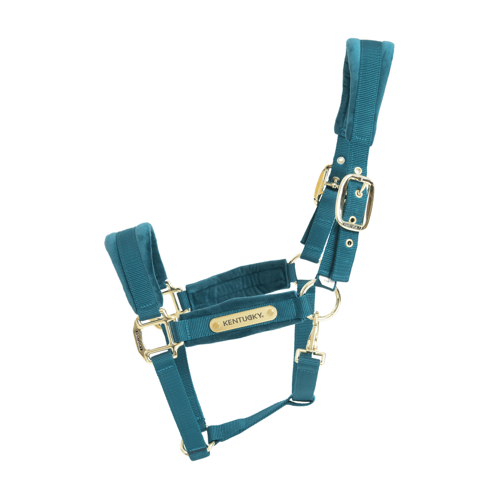 Velvet Halter | Kentucky Horsewear | VelvetDesign — Image 12