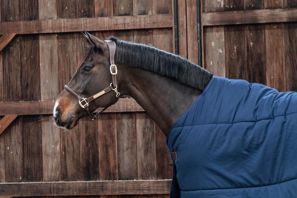 Under Rug Classic | Kentucky Horsewear | durable — Image 3