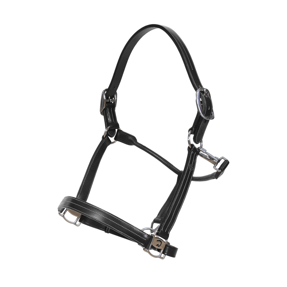 US Halter  | Dy'on | Durability