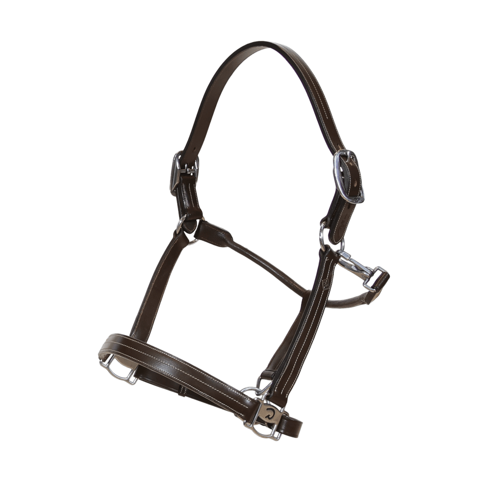US Halter  | Dy'on | Durability — Image 2
