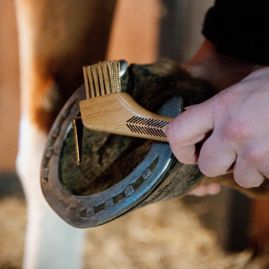 Hoof Pick with metal bristles | Grooming Deluxe | Durable — Image 3