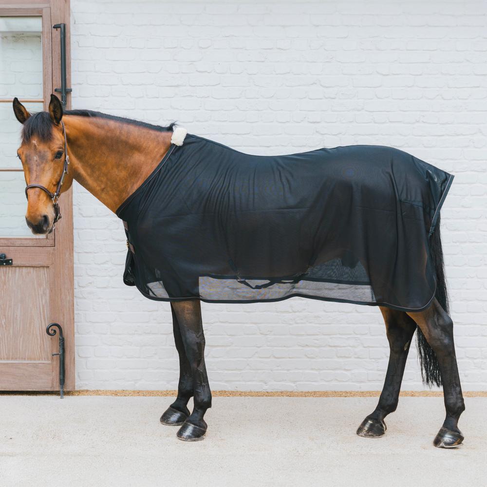 Mesh Fly Sheet | Kentucky Horsewear | breathable — Image 2