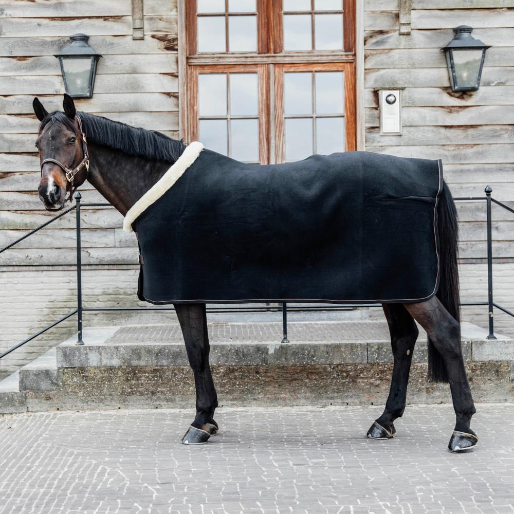 Fleece Show Rug Heavy | Kentucky Horsewear | luxuriouscomfort — Image 7