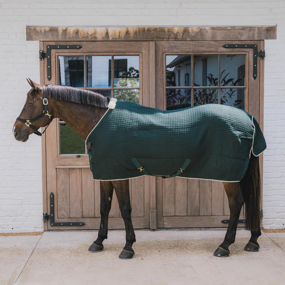 Cooler Rug PROtherm | Kentucky Horsewear | thermoregulation — Image 16