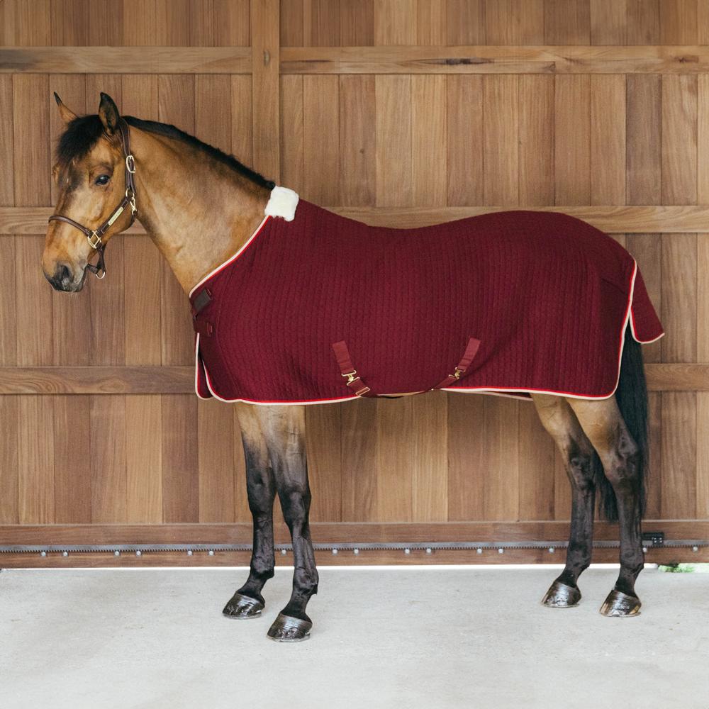 Cooler Rug PROtherm | Kentucky Horsewear | thermoregulation — Image 2