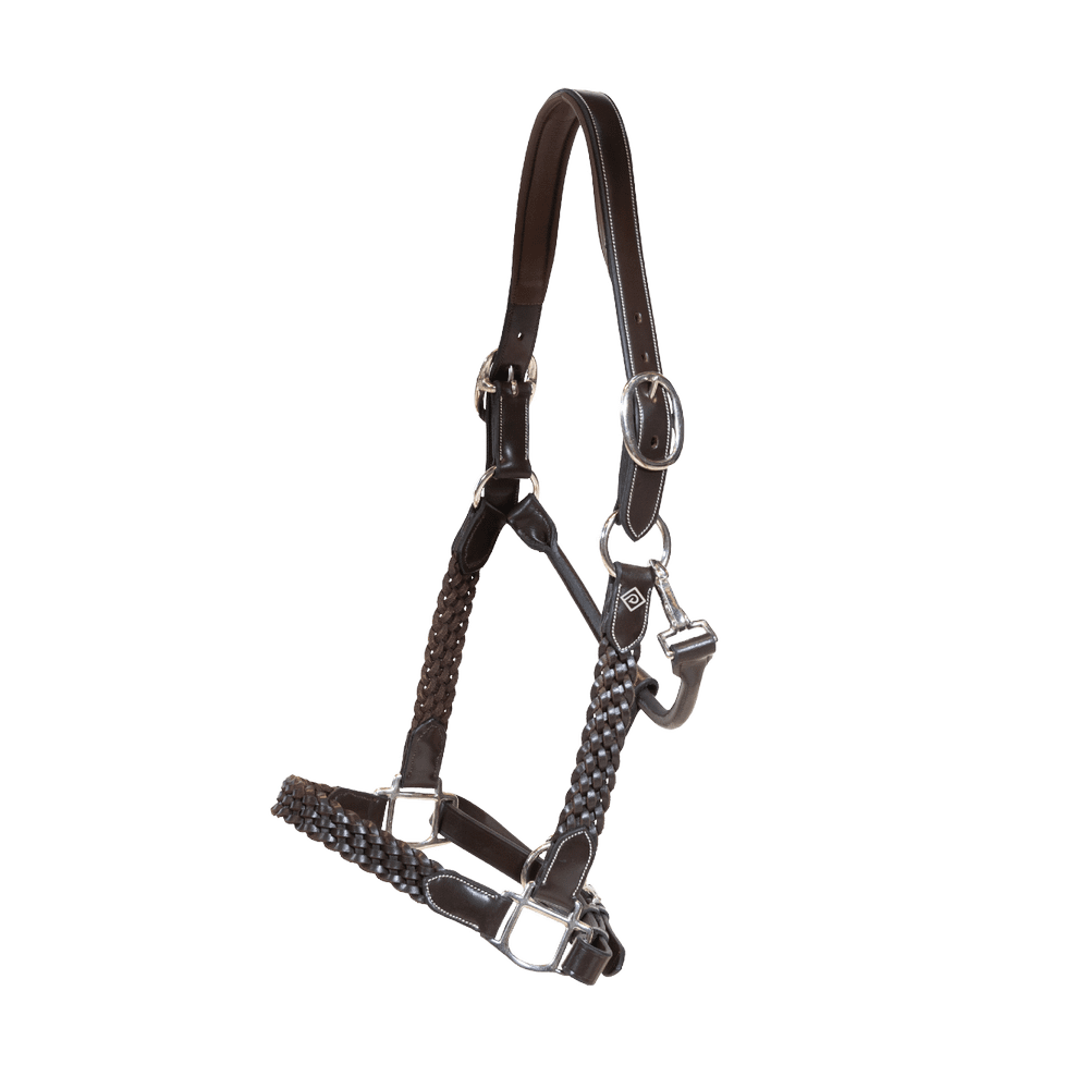 Plaited Halter | Dy'on | DurableLeather — Image 4