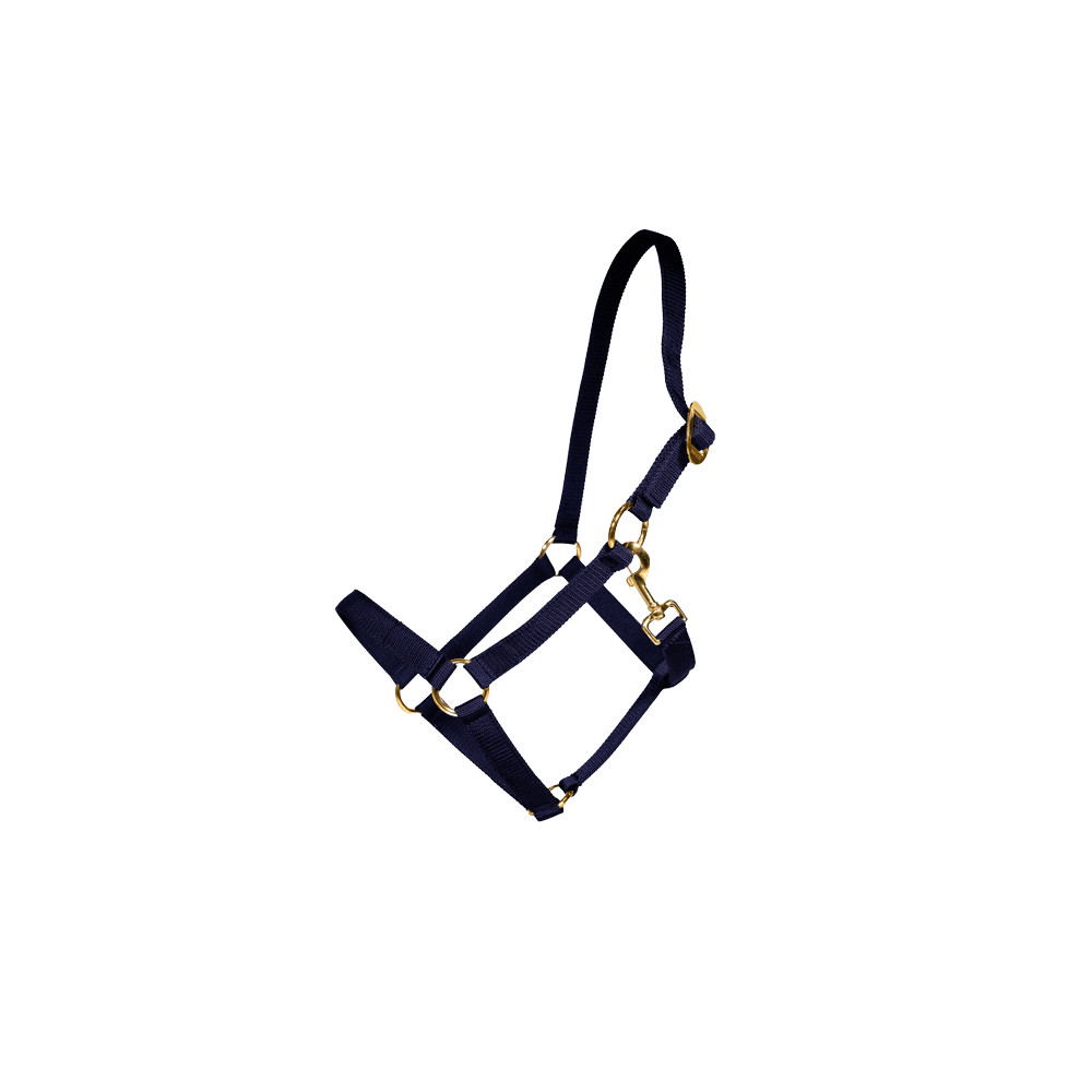Nylon Halter | Kentucky Horsewear | Durable