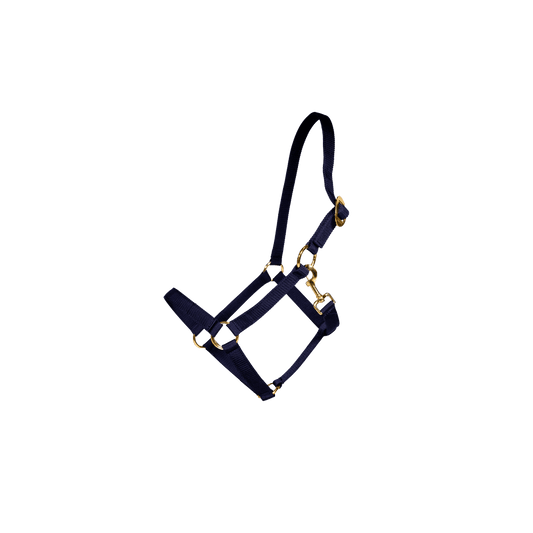 Nylon Halter | Kentucky Horsewear | Durable