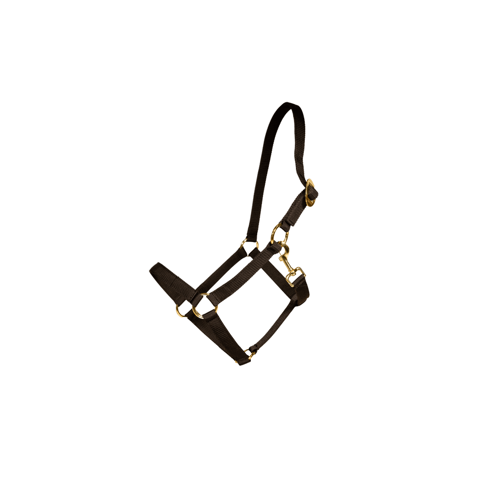 Nylon Halter | Kentucky Horsewear | Durable — Image 3