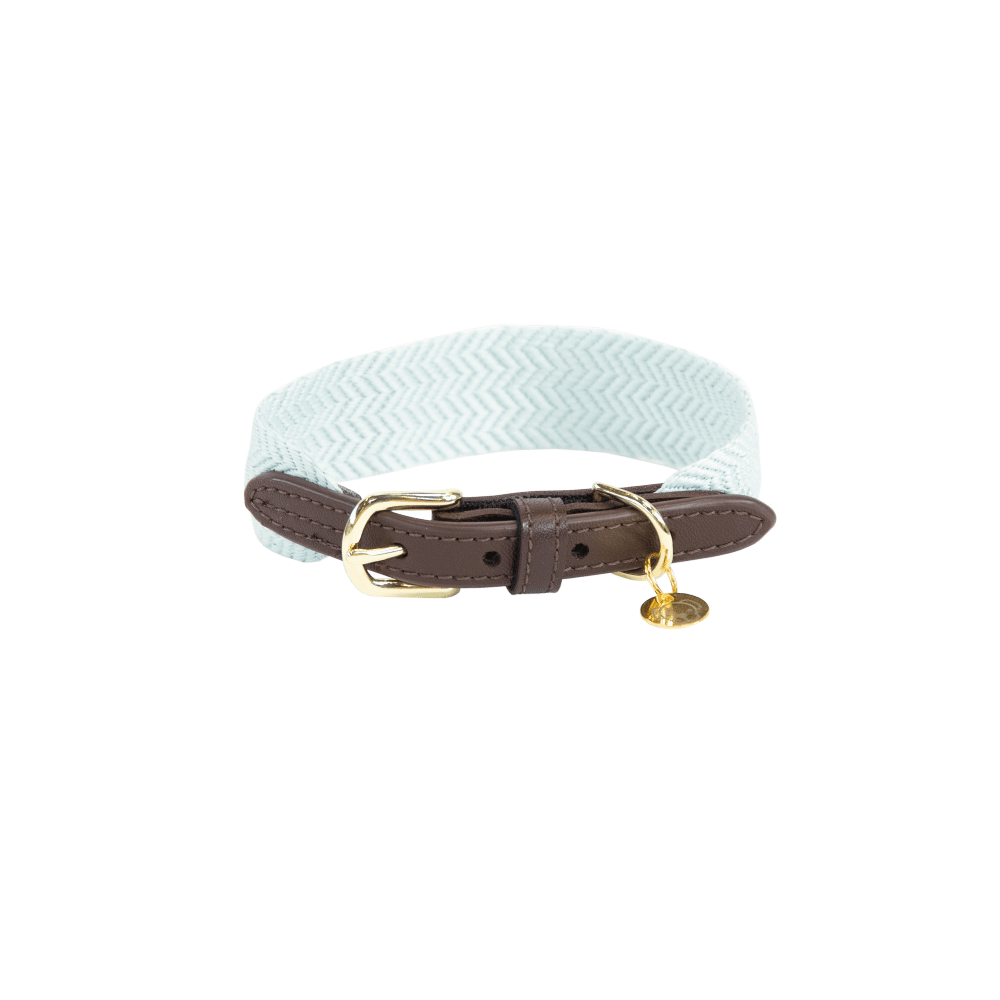 Dog Collar Jacquard | Kentucky Dogwear | Stylish — Image 19