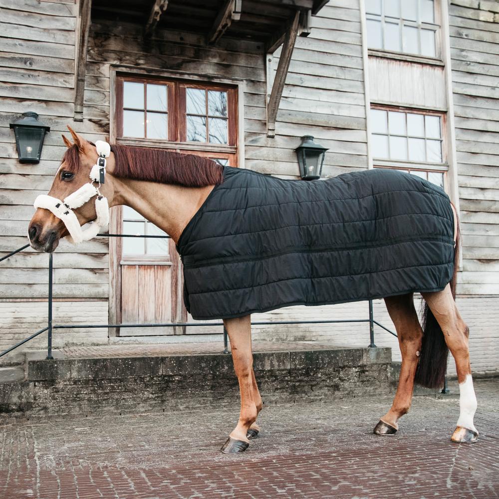 Under Rug Skin Friendly 150gr | Kentucky Horsewear | Skin-friendly — Image 9