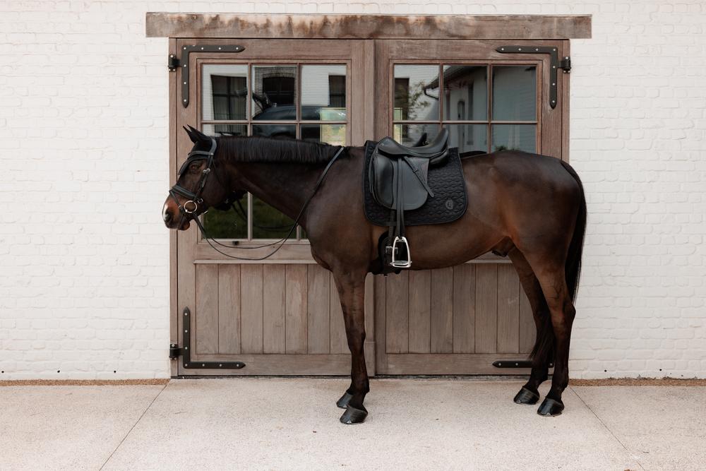 Saddle Pad Sparkling Dressage | Kentucky Horsewear | Durable — Image 6