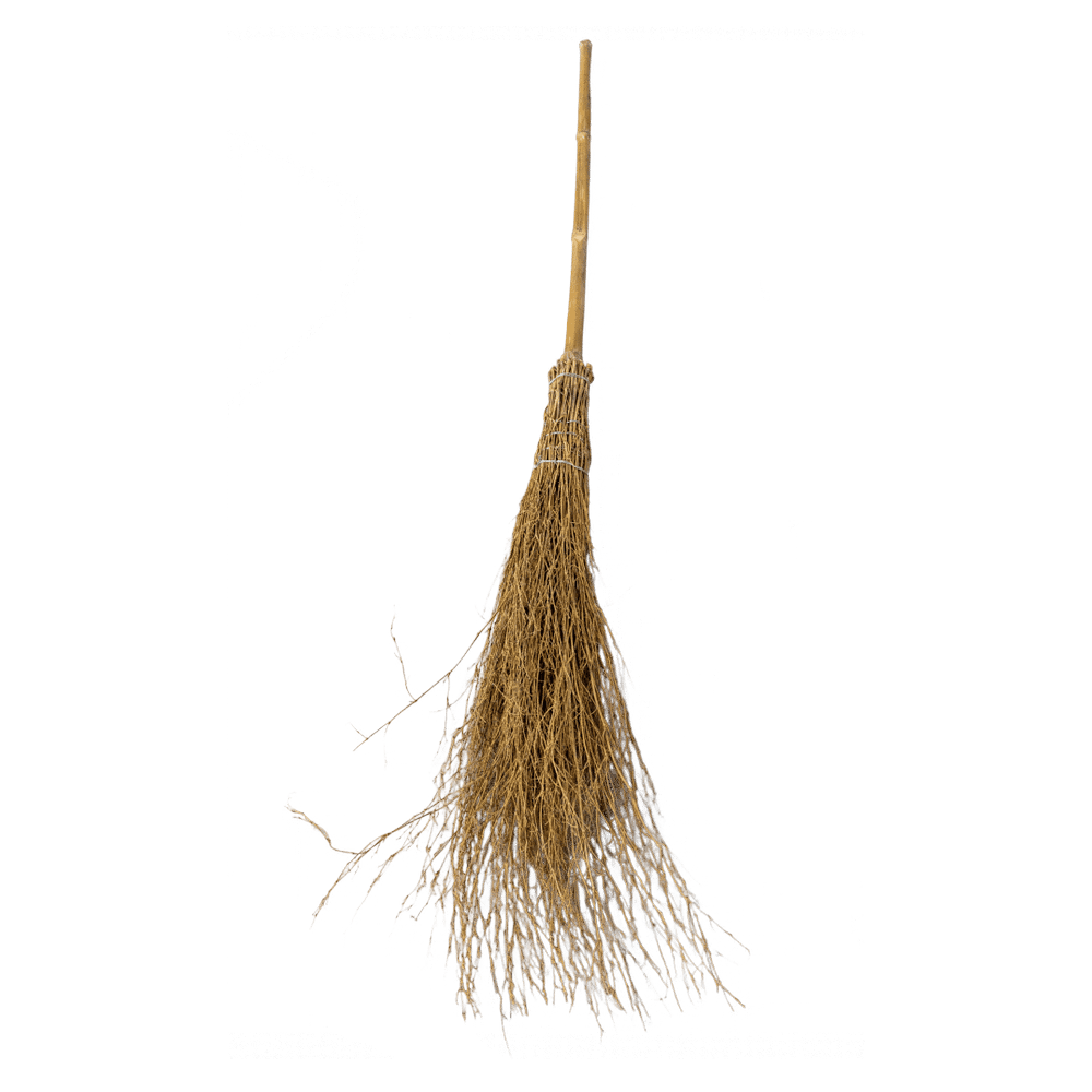 Bamboo Broom | Grooming Deluxe | Eco-friendly