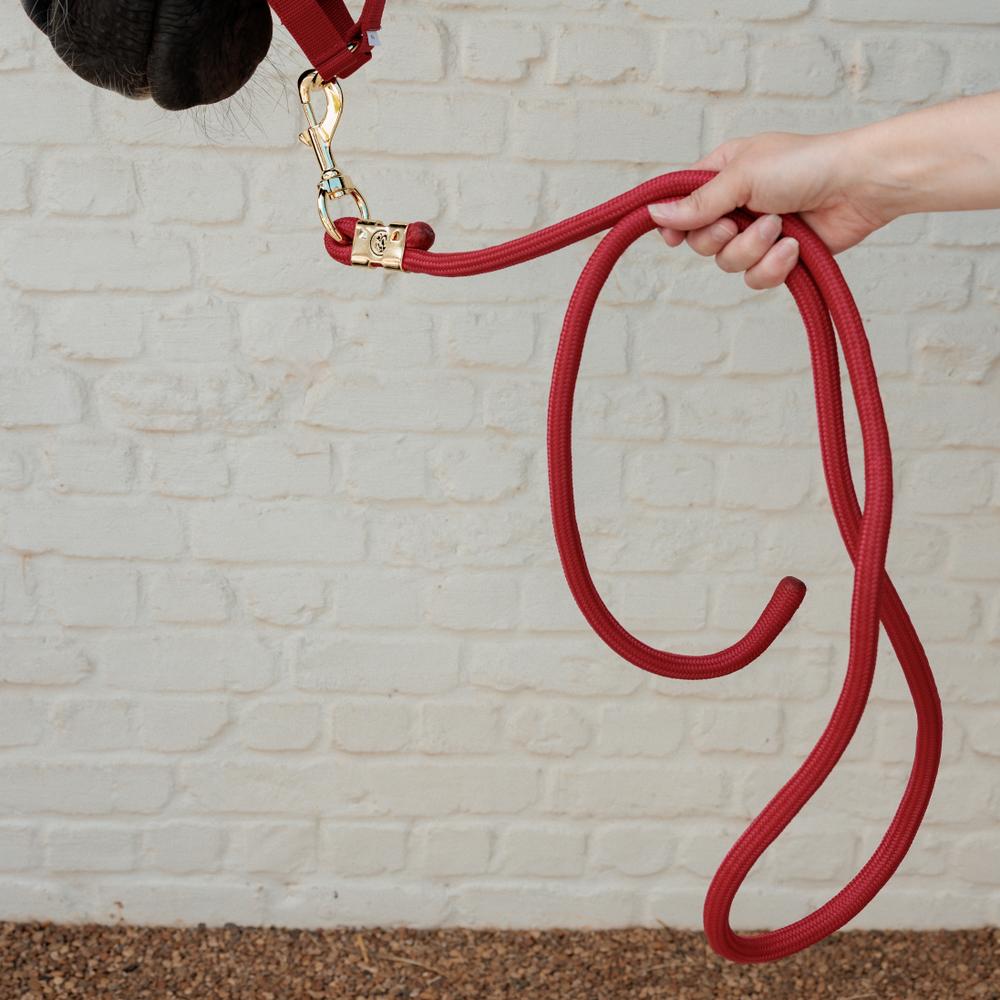 Lead Rope Basic | Kentucky Horsewear | durable — Image 15