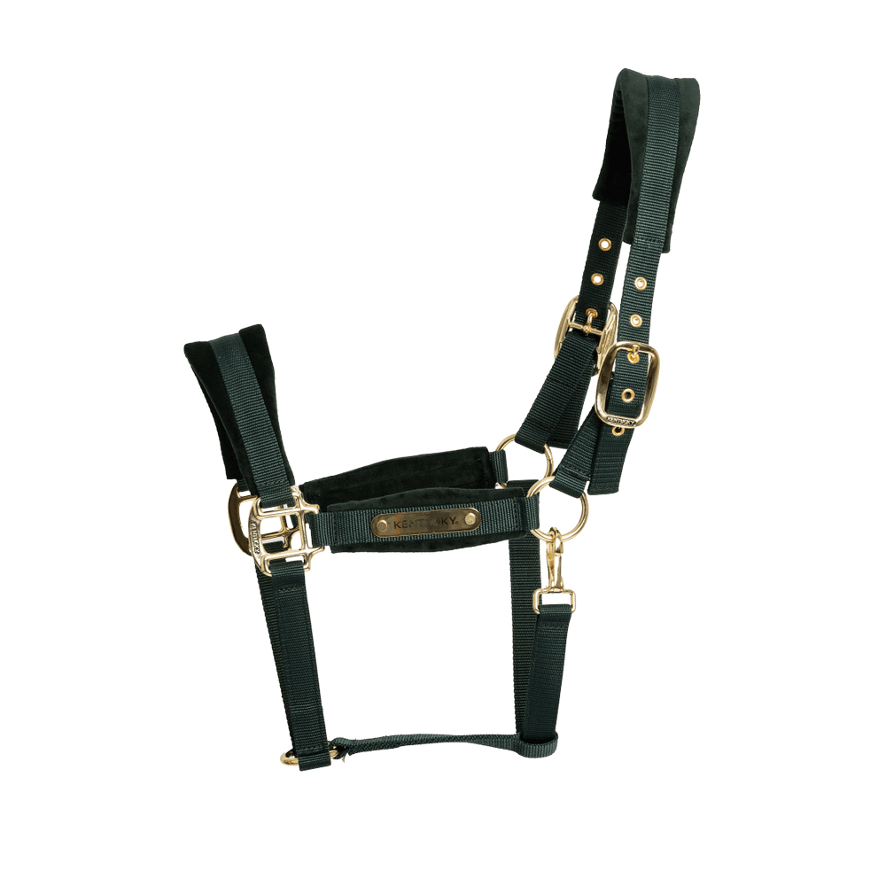 Velvet Halter | Kentucky Horsewear | VelvetDesign