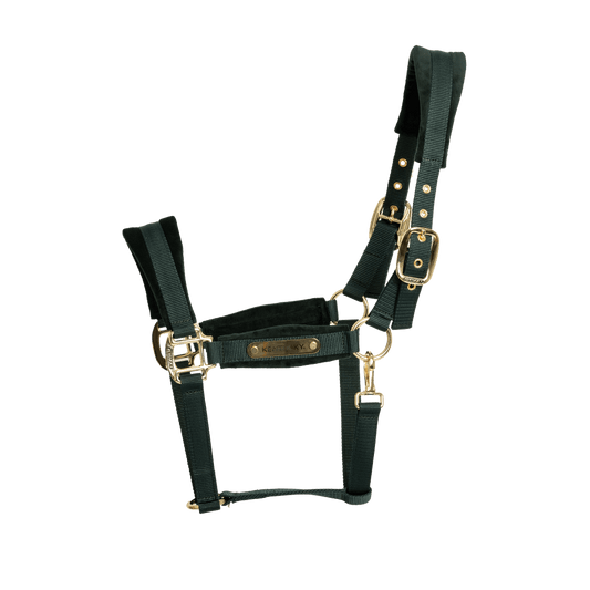 Velvet Halter | Kentucky Horsewear | VelvetDesign