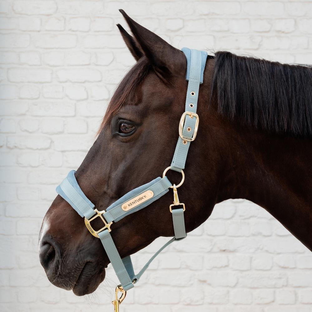 Velvet Halter | Kentucky Horsewear | VelvetDesign — Image 15
