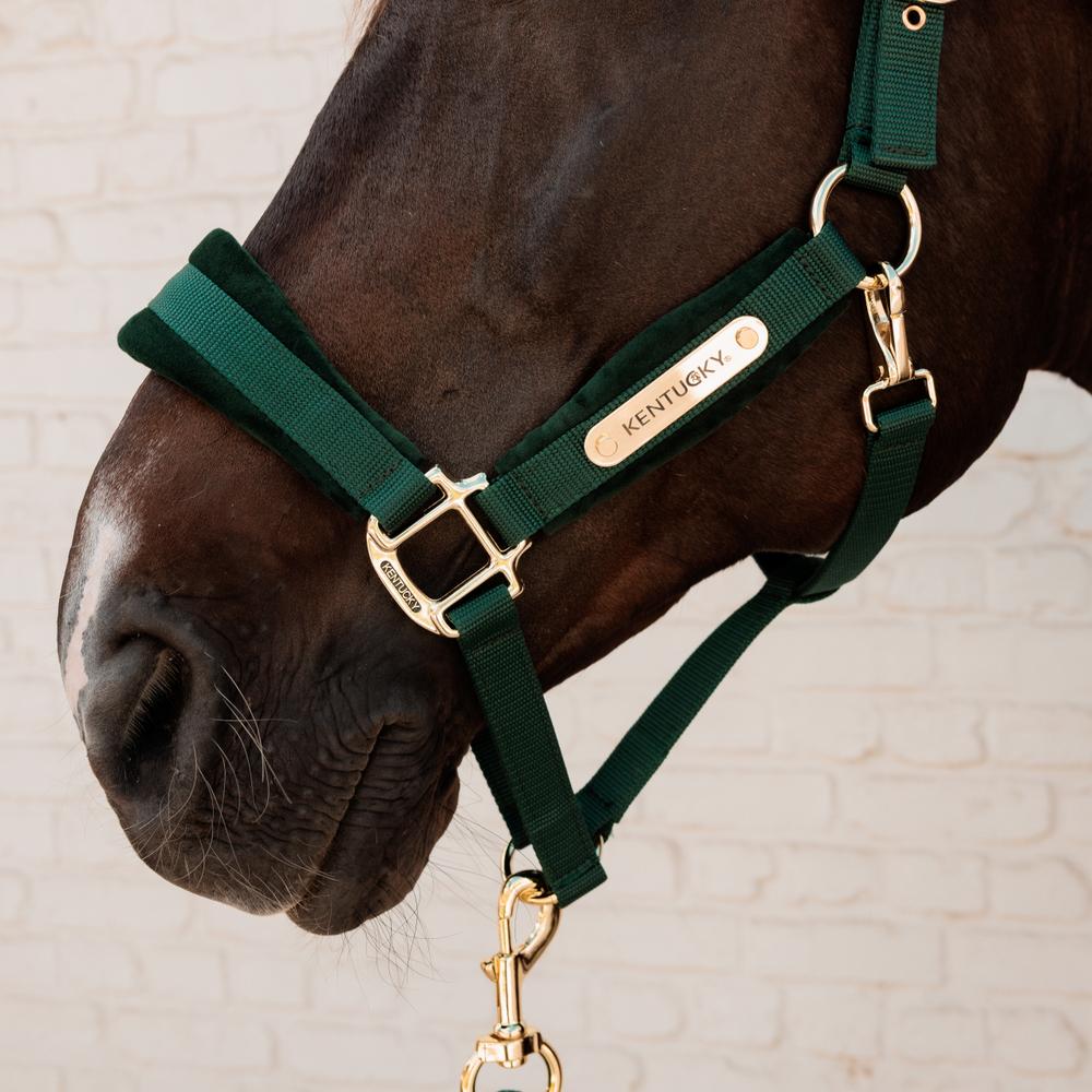 Velvet Halter | Kentucky Horsewear | VelvetDesign — Image 3