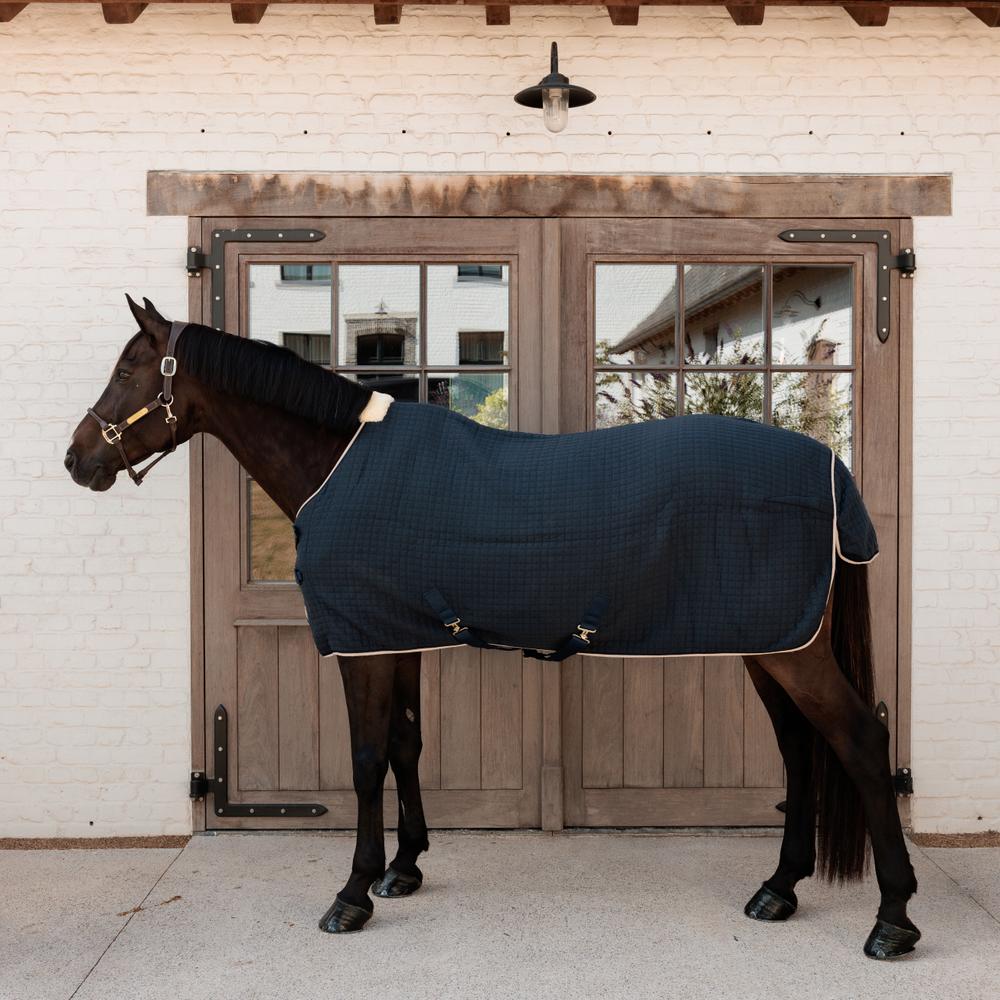 Cooler Rug PROtherm | Kentucky Horsewear | thermoregulation — Image 14