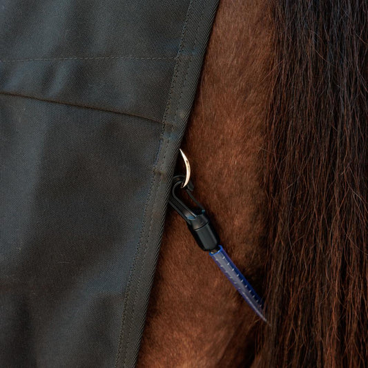 Canvas Sheet | Kentucky Horsewear | CompetitionDurability — Image 2