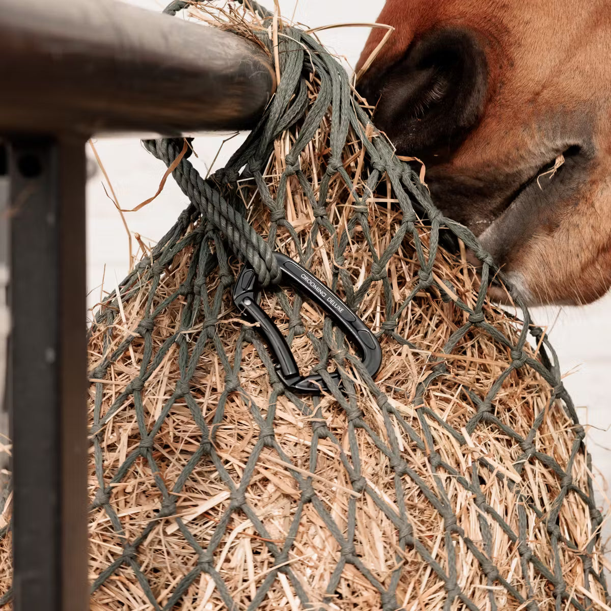 Horse eating from a netted hay bag