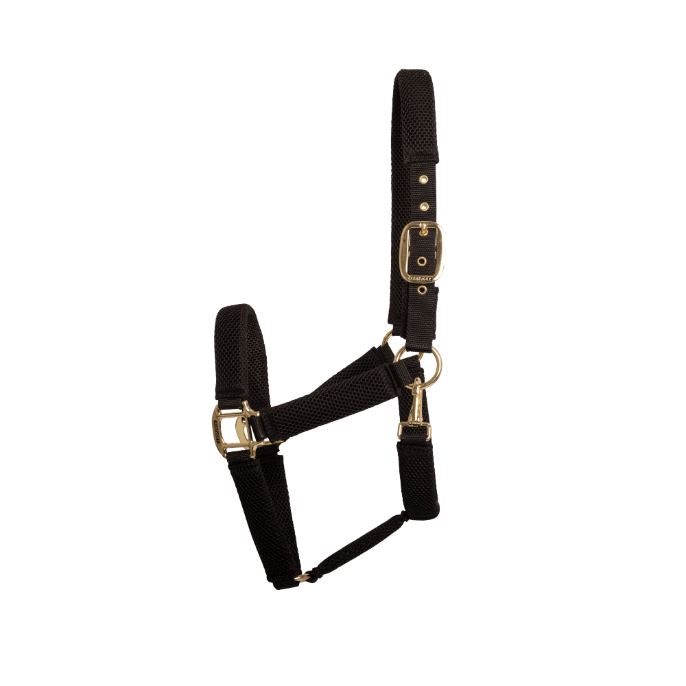 Halter 3D Mesh | Kentucky Horsewear | KentuckyHorsewear