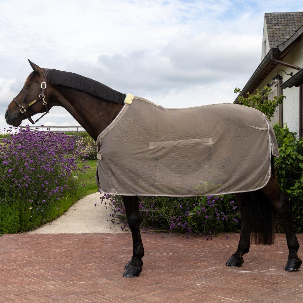 Fly Rug with Belly Cover Comfort | Kentucky Horsewear | flyrug — Image 8