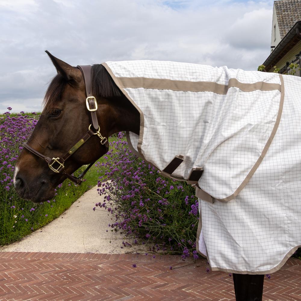 Sweet Itch Fly & Summer Sheet Comfort | Kentucky Horsewear | flysheet — Image 6