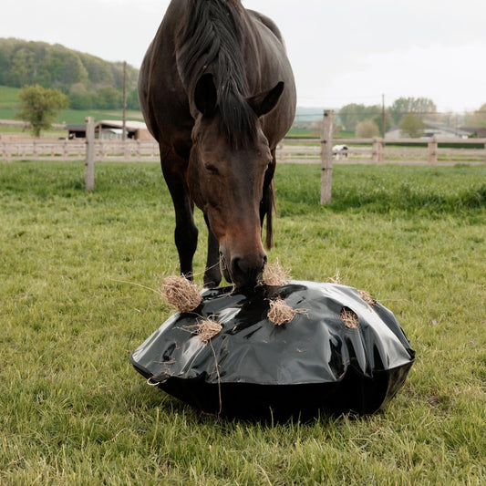 Play & Haybag Slow Feeder Round | Grooming Deluxe | Durable — Image 2