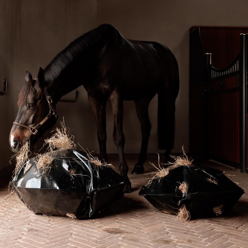 Play & Haybag Slow Feeder Round | Grooming Deluxe | Durable — Image 4