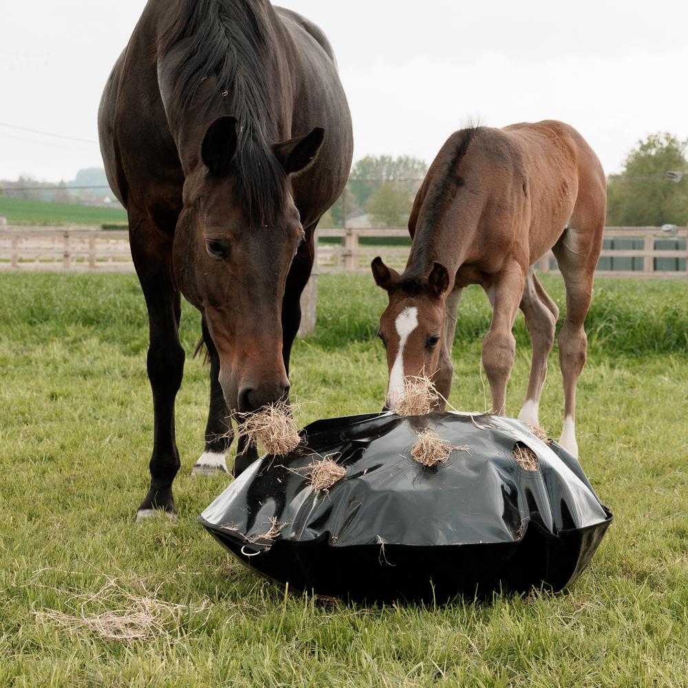 Play & Haybag Slow Feeder Round | Grooming Deluxe | Durable — Image 7
