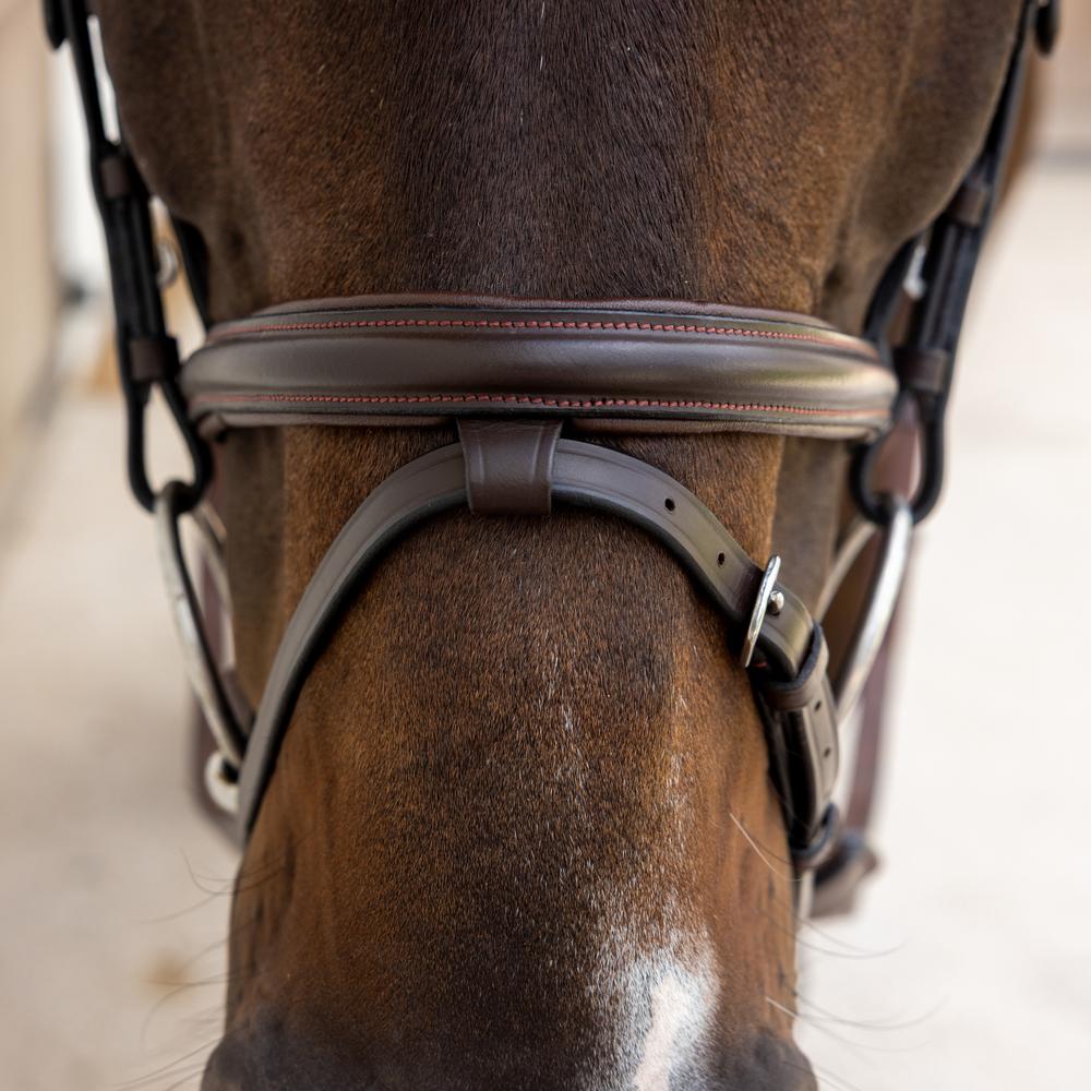 Flash Noseband Bridle Soft Leather SO |  | innovative — Image 6