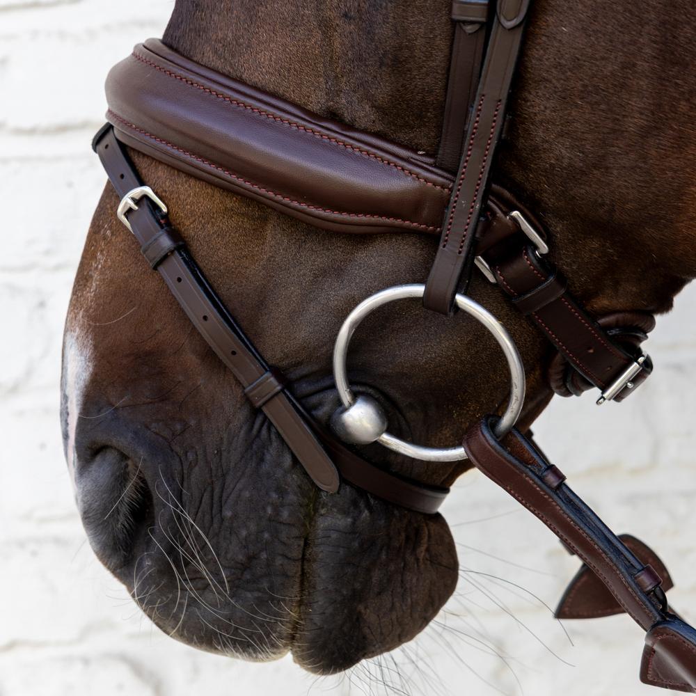 Bridle Medium Noseband Soft Leather SO |  | Innovative — Image 8