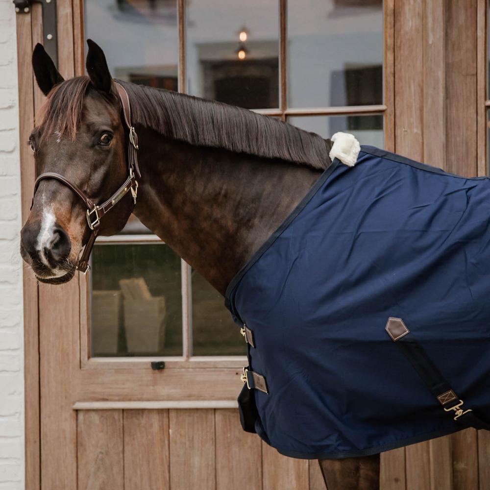Cotton Sheet | Kentucky Horsewear | Versatile — Image 3