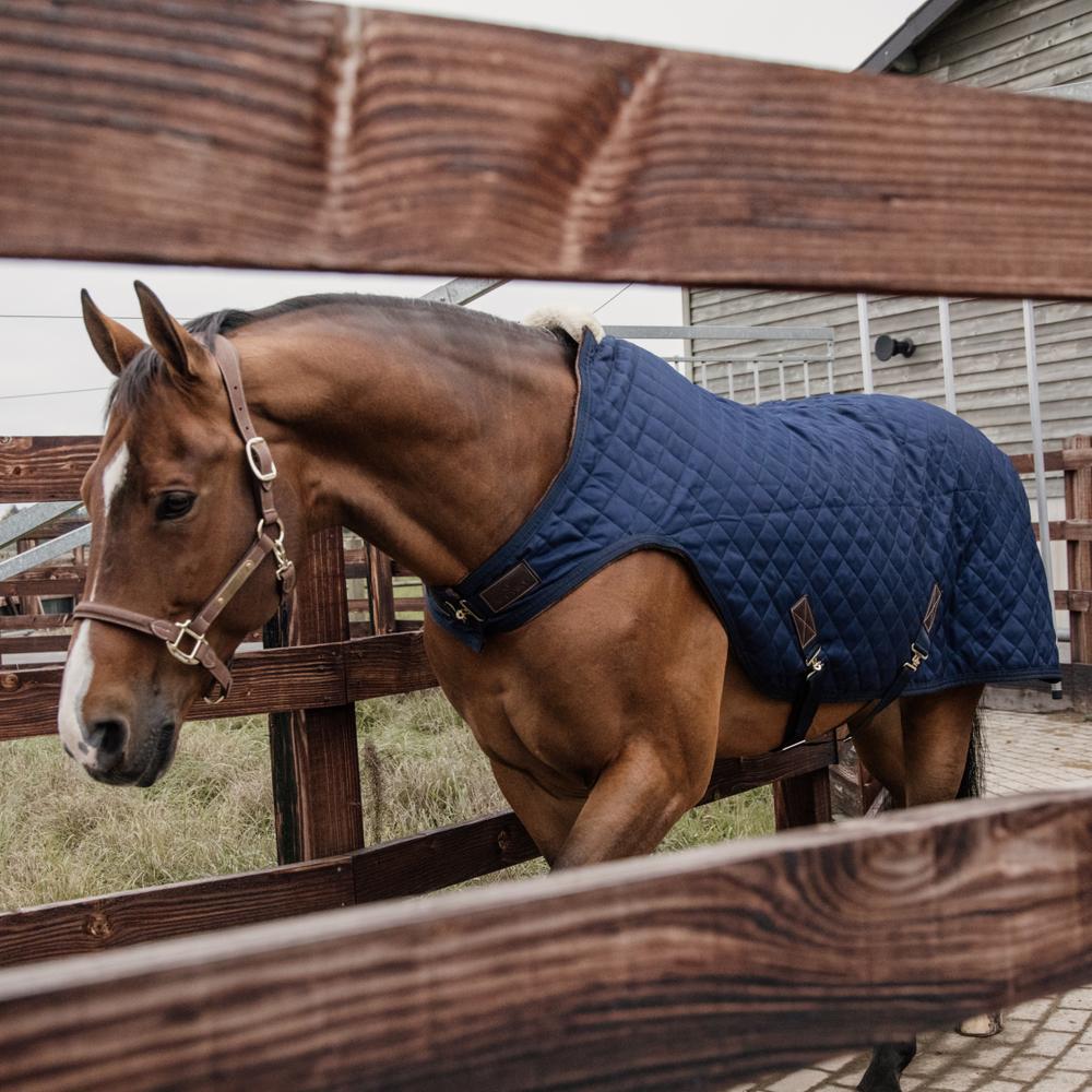 Walker Rug | Kentucky Horsewear | Comfort — Image 3