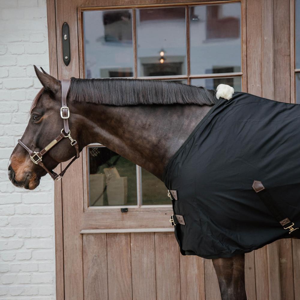 Cotton Sheet | Kentucky Horsewear | Versatile — Image 5