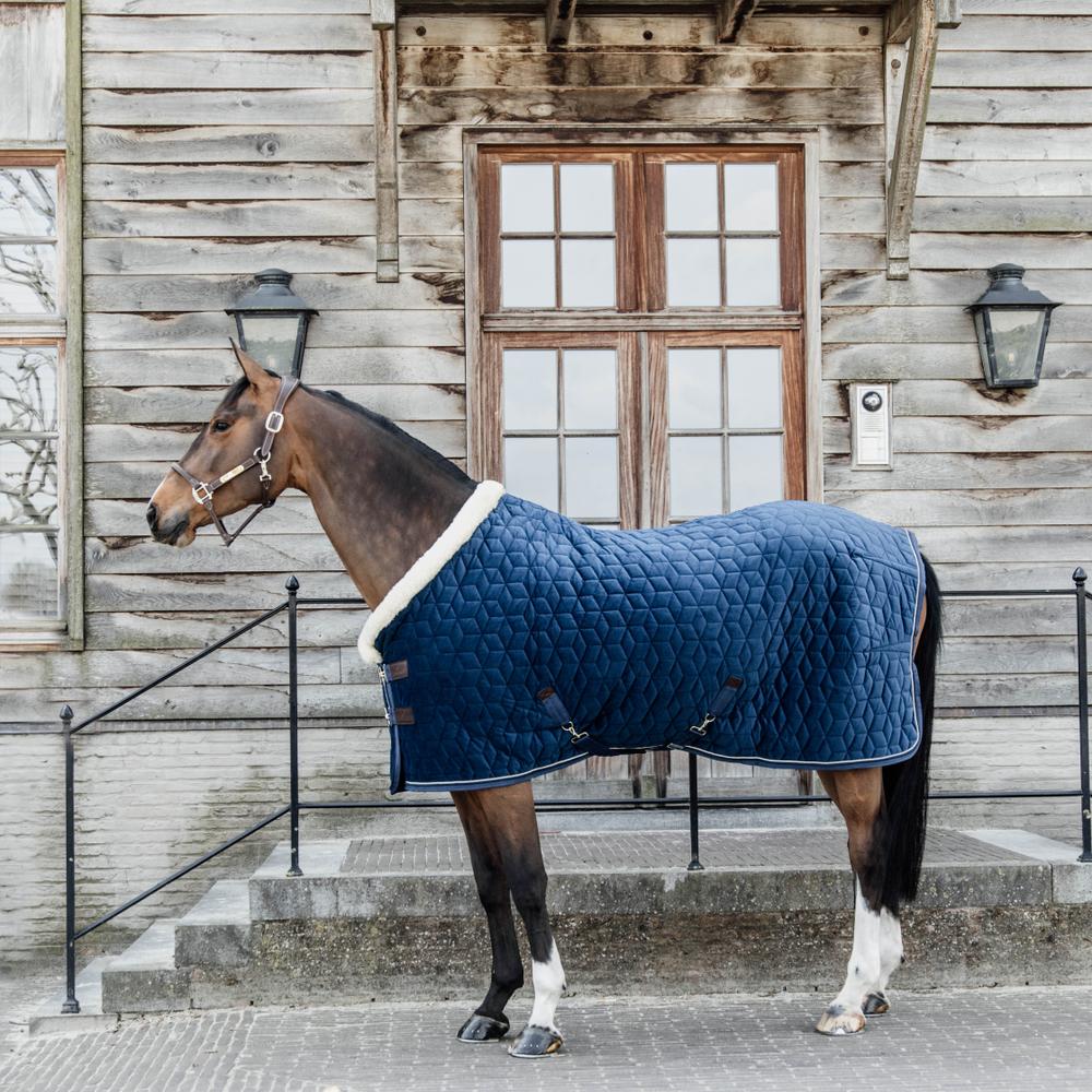Show Rug Velvet | Kentucky Horsewear | Elegant — Image 12