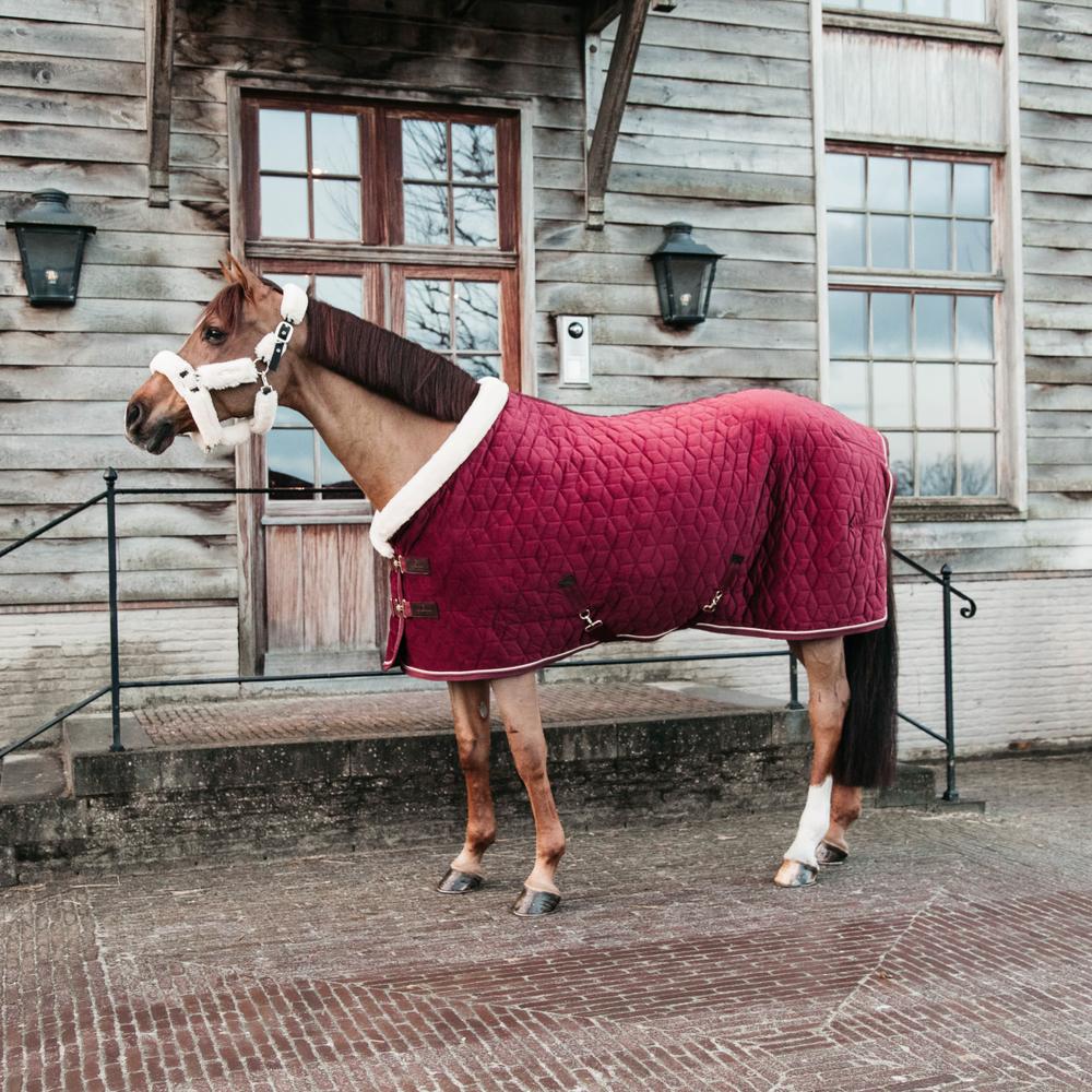 Show Rug Velvet | Kentucky Horsewear | Elegant — Image 10
