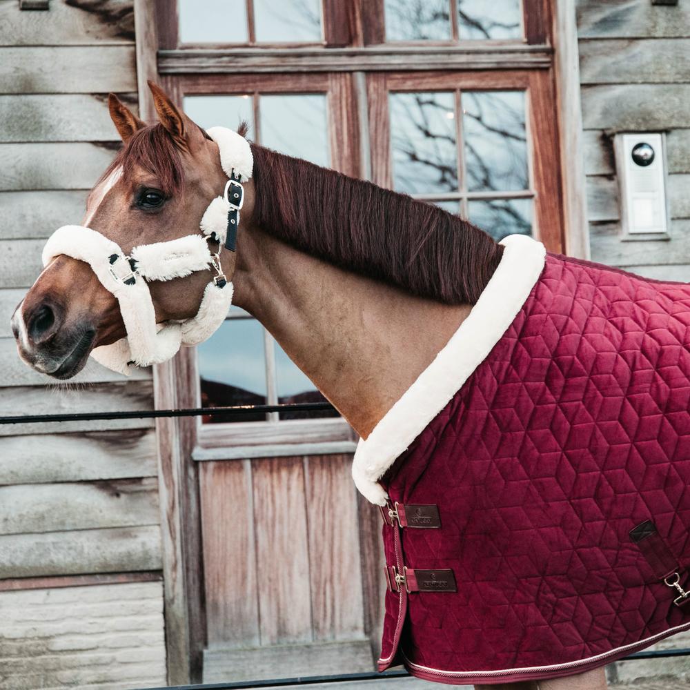 Show Rug Velvet | Kentucky Horsewear | Elegant — Image 19