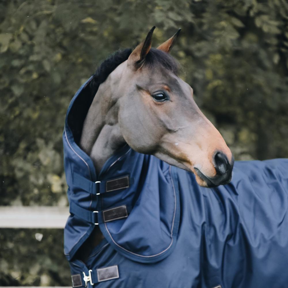 Neck All Weather Waterproof Pro | Kentucky Horsewear | Durable — Image 2