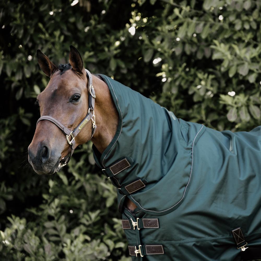 Neck All Weather Waterproof Pro | Kentucky Horsewear | Durable — Image 9