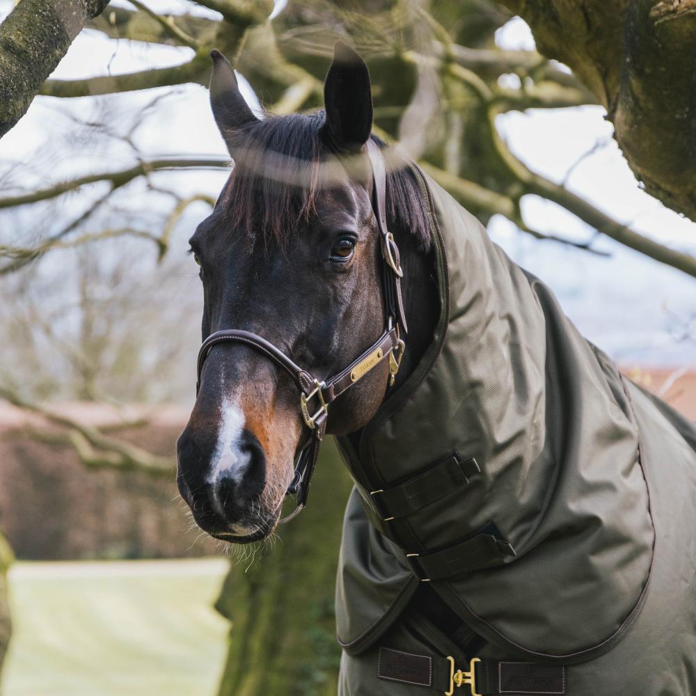Neck All Weather Waterproof Pro | Kentucky Horsewear | Durable — Image 11