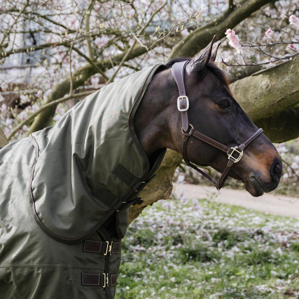 Neck All Weather Waterproof Pro | Kentucky Horsewear | Durable — Image 14