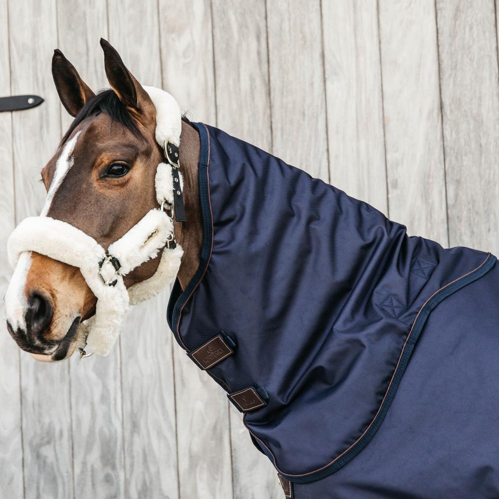 Neck All Weather Waterproof Pro | Kentucky Horsewear | Durable — Image 12